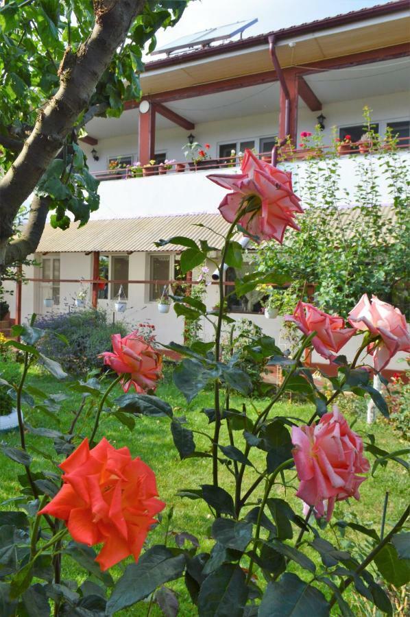 Hotel Casa Gia à Costinesti Extérieur photo